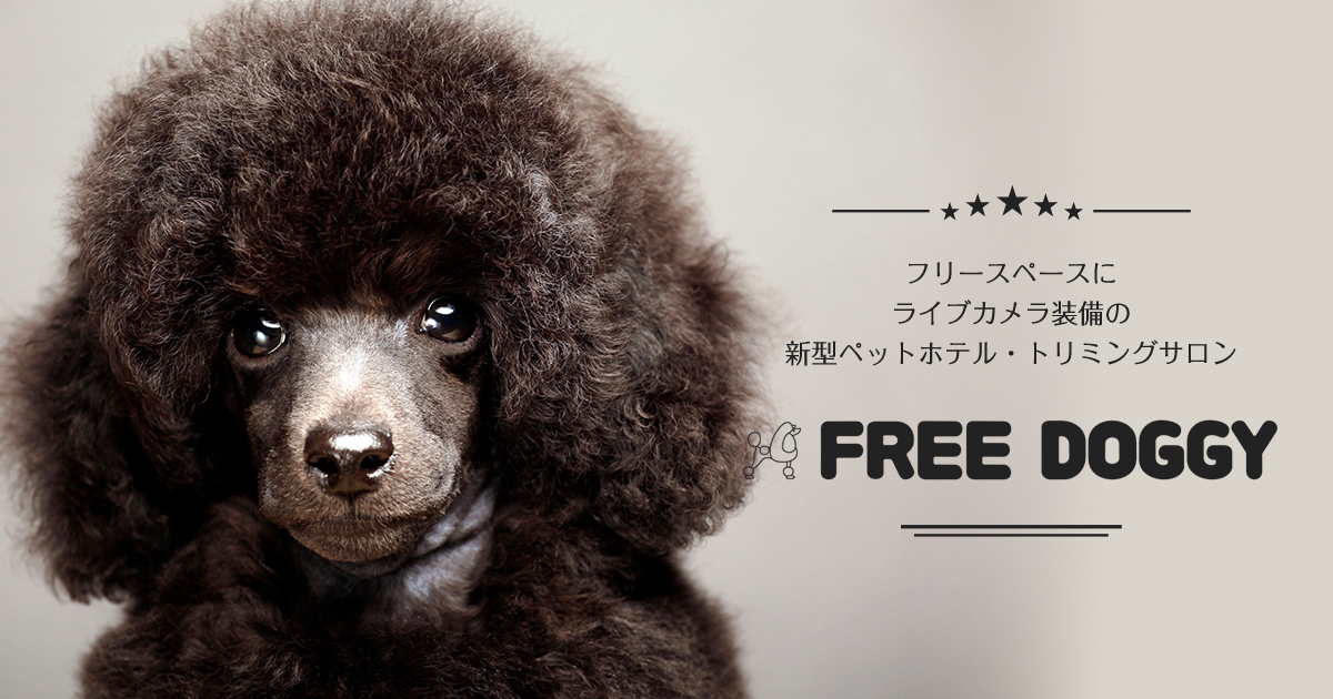 Free Doggy 東京都品川区にあるペットホテル トリミングサロン